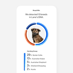 Wisdom Panel™ Premium